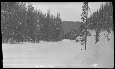 Photo of a snow scene in a wooded area near Wallace, Idaho. The ground and surrounding trees are covered in trees.