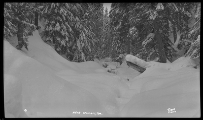Photo of a snow scene in a wooded area near Wallace, Idaho. The ground and surrounding trees are covered in trees.