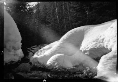 Photo of a snowy scene near Burke, Idaho. The ground is covered in snow, trees and a creek are visible.