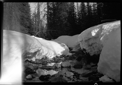 Photo of a snowy scene near Burke, Idaho. The ground is covered in snow, trees and a creek are visible.