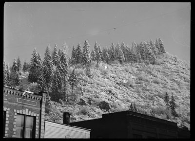 Photo of a hill covered in heavy snow and partially covered by trees. The upper part of a few buildings are visible.