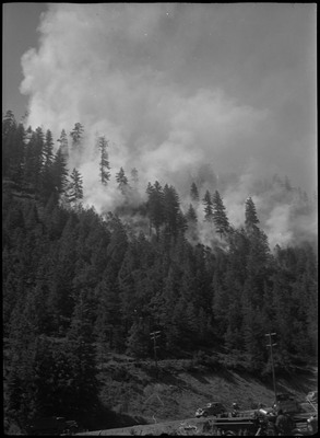 Smoke rises from a forest fire near Wallace. A car is visible driving along a road in the foreground.
