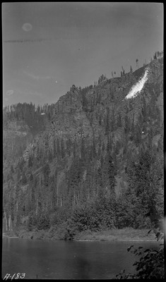 View of forested area after the 1910 Wallace fire. There is a body of water in the foreground.