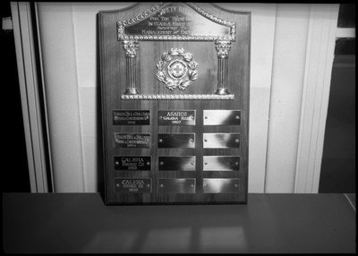 Image of the Galena Safety Award propped up against a wall.