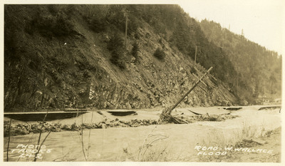 A telephone pole leans to its side after being damaged by the Wallace flood.
