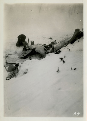 Debris from an airliner crash mostly covered in snow. A few bare trees in the background.