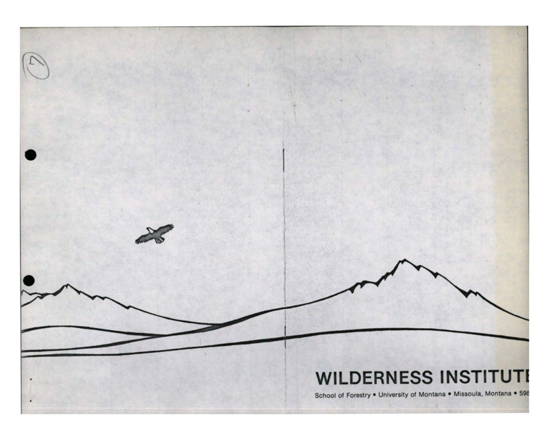 Flyer for the Wilderness Institute.