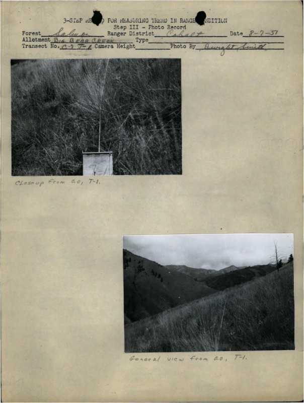 A document from Salmon Forest, detailing how to measure trend with example photos for Park Rangers.