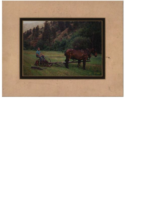 This image contains a man sitting harnessed to two horses on a plow. There is a forested hill in the background. Categorizes as Historical N.R. Use.