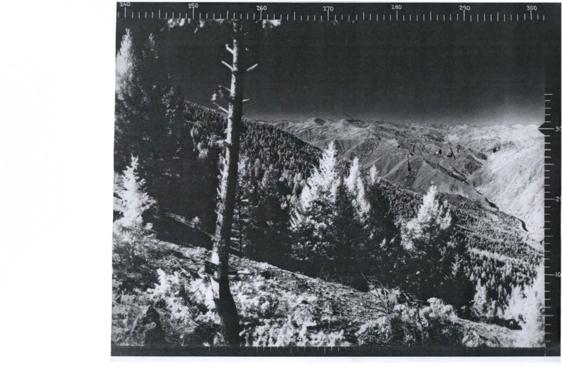 Negatives from Big Hill Lookout taken prior to 1945