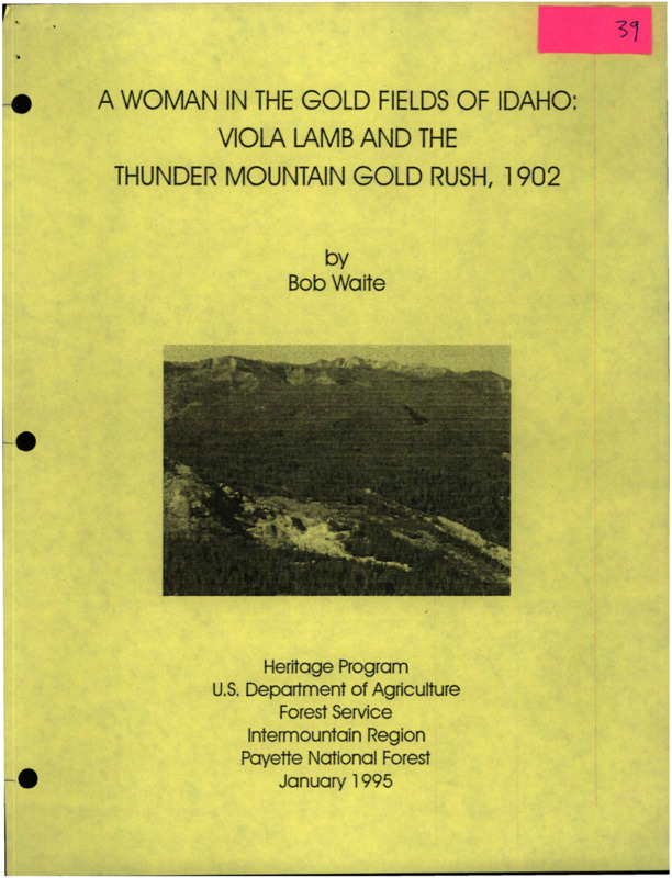 Paper on the story and personal accounts of Viola Lamb, a stenographer who went to Thunder Mountain, Idaho during the gold rush.