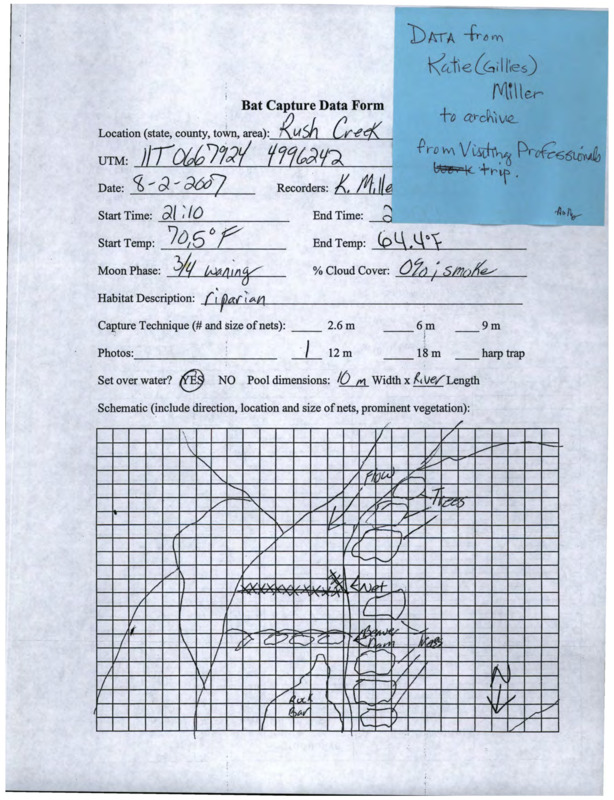 bat capture data from multiple Taylor Ranch sites