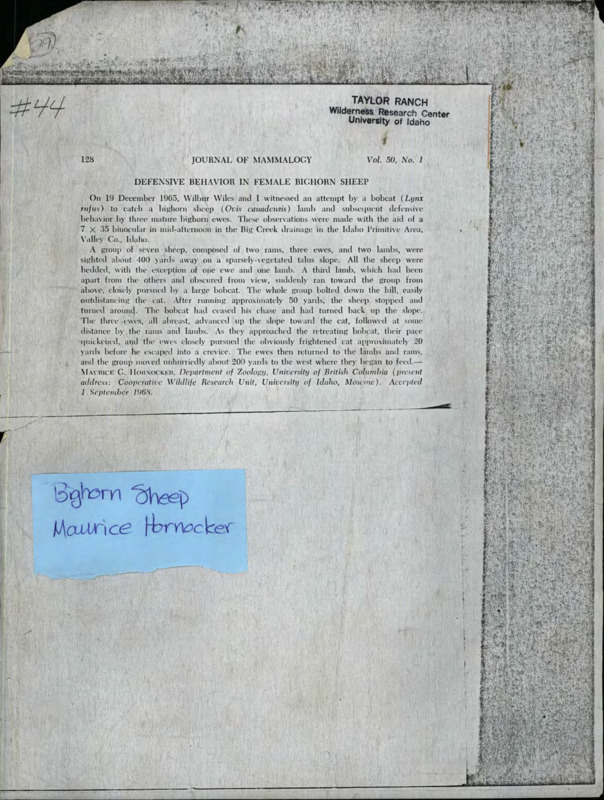 report in the Journal of Mammalogy of an observation made by Maurice Hornocker and Wilbur Wiles of bighorn ewes fending off a bobcat