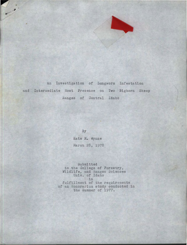 honorarium study by Kate Wynne on lungworm infestation of two bighorn sheep ranges in central Idaho