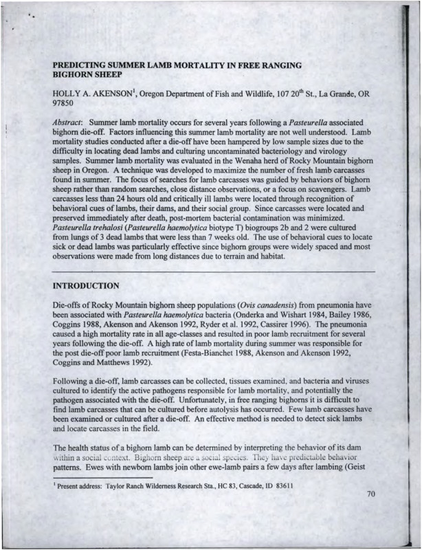 scientific study of summer lamb die-offs associated with pasteurella in the Wenaha bighorn herd in Oregon