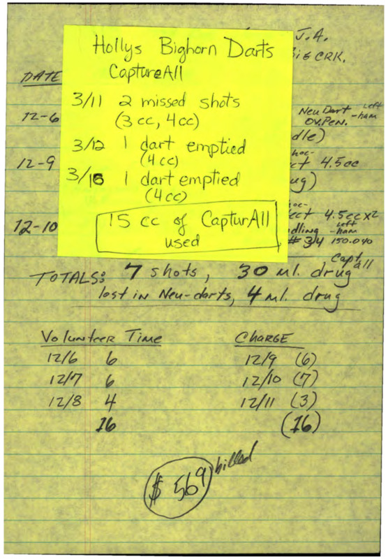 field notes on bighorn darting taken by Jim and Holly Akenson plus letter from Alton C. S. Ward (veterinary science) on attempt to culture Pasteurella from bighorn cougar kill