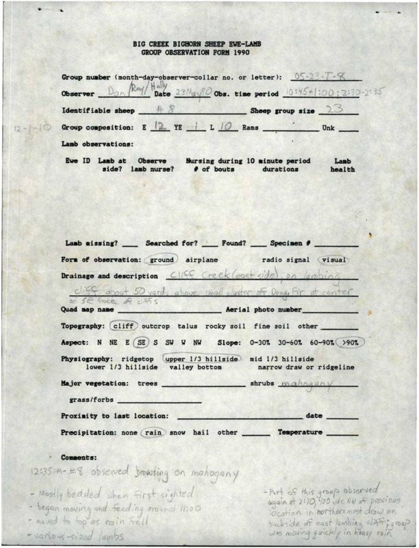 large collection of bighorn ewe-lamb observation forms completed in 1990 in the Big Creek drainage