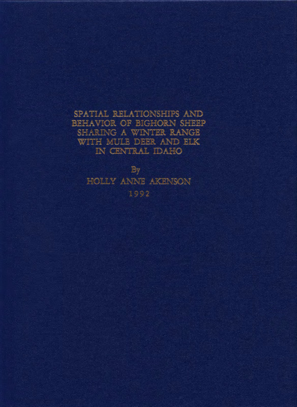 The effects of behavioral interactions on bighorn sheep by mule deer and elk were assessed on a shared winter range. Bighorn sheep, mule deer, and elk were observed on the Cliff creek study area in central Idaho. Behavior, locations, and proximity to the closest herd of another species were determined through scan sampling. Seasonal habitat use was similar among bighorn sheep, mule deer, and elk during winter and spring. Bighorn sheep and mule deer showed a positive association, especially in spring when both species fed together in grasslands. This tendency to be in close proximity to each other probably reflects the lack of competition between these species and may reflect an antipredator advantage of mixed species grouping. Bighorn sheep and elk herds were further from each other than bighorn sheep and mule deer, and were rarely observed in mixed groups. Elk used higher elevations than sheep. Elk and sheep generally had a neutral to negative association. The low use of the study area by elk and infrequent contact between sheep and elk prevented a thorough assessment of this relationship. The one situation in which sheep and elk were consistently observed in mixed groups was when coyotes were present on the study area. Interspecific relationships, both positive associations and competition, appear to explain behaviors and distribution of bighorn sheep, mule deer, and elk on the Cliff Creek study area, but other explanations could not be statistically eliminated. Recent changes in bighorn sheep and elk numbers now provide an opportunity to compare interspecific relationships at 2 population levels to evaluate changes in these ungulate relationships on the Cliff Creek study area.