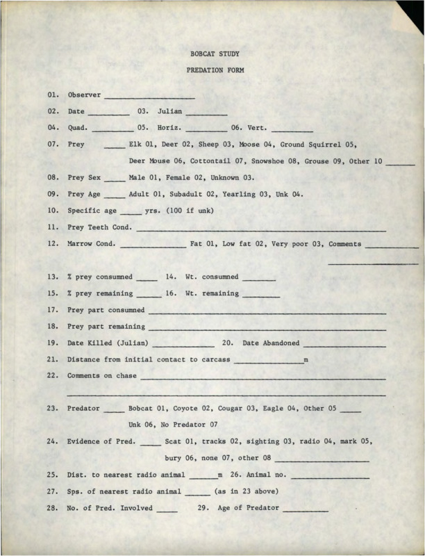 Bobcat study predation form