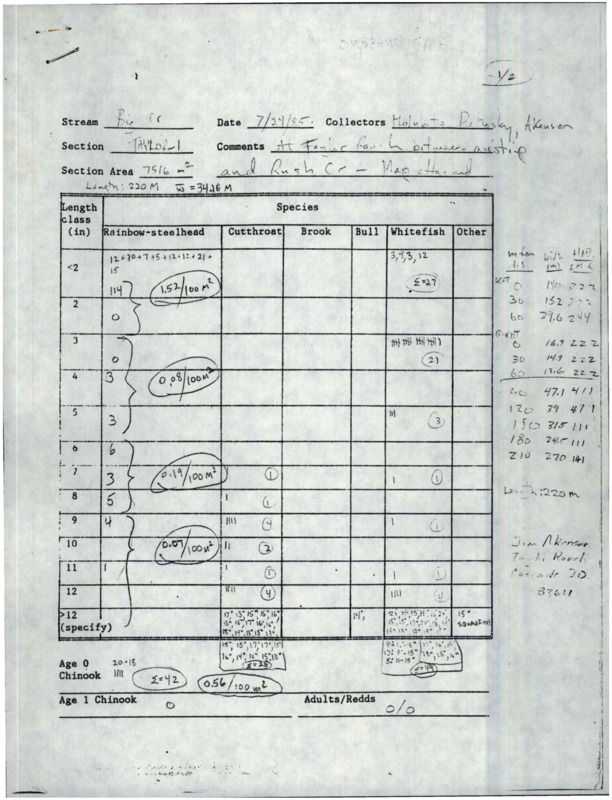 Population counts Big Creek field report