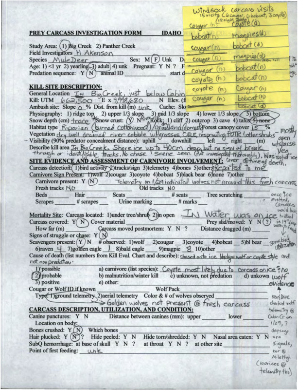 Idaho Wolf and Cougar Project on Prey Carcass Investigations