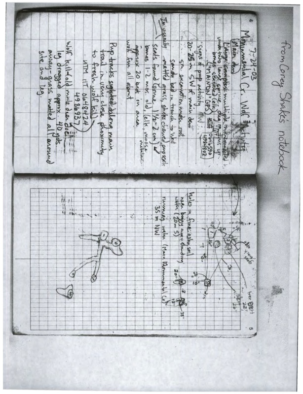 Field notes on wolves at Monumental Creek