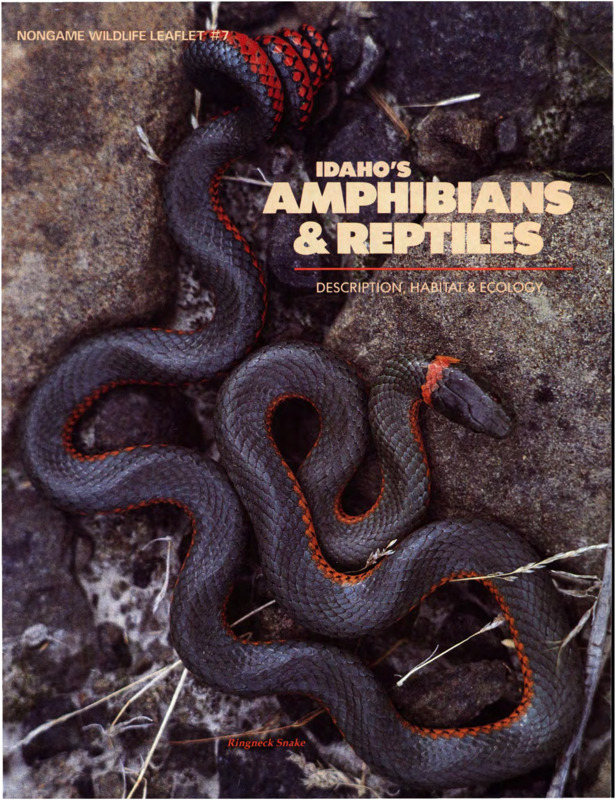 Periodical introducing the species and habitats of amphibians and reptiles native to Idaho.