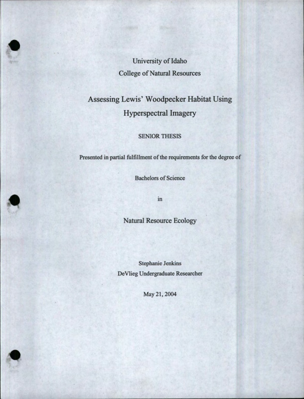 A senior thesis on the habitat of the Lewis woodpecker in the Big Creek drainage area of the Frank Church - River of No Return Wilderness, Idaho.