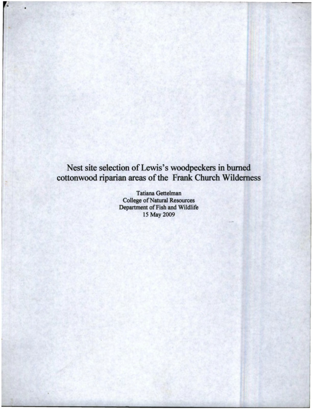 A Research Paper on nesting sites of the the Lewis woodpecker in riparian areas on the Frank Church - River of No Return Wilderness, Idaho.