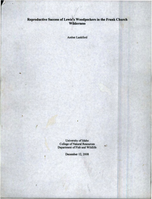 A Research Paper on reproductive success of the Lewis woodpecker in the Frank Church - River of No Return Wilderness.