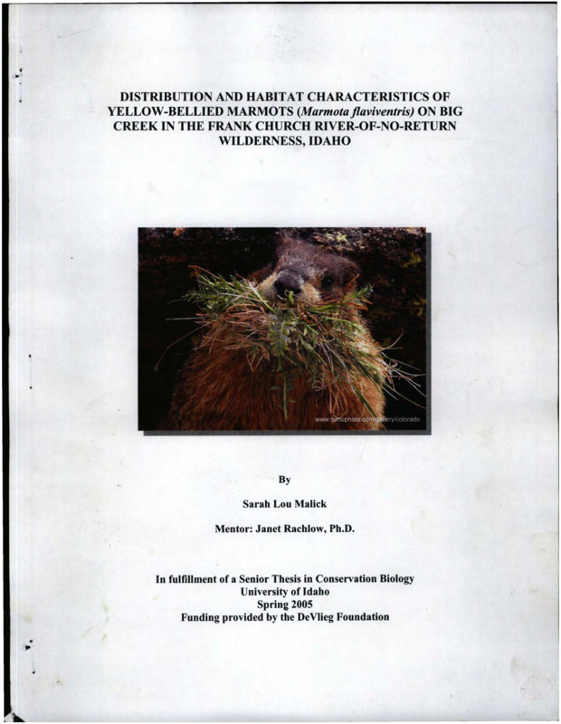 A research report for a study done on population distribution and habitat characteristics of yellow-bellied marmots on the Big Creek area of the Frank Church River-of-No-Return Wilderness, Idaho.