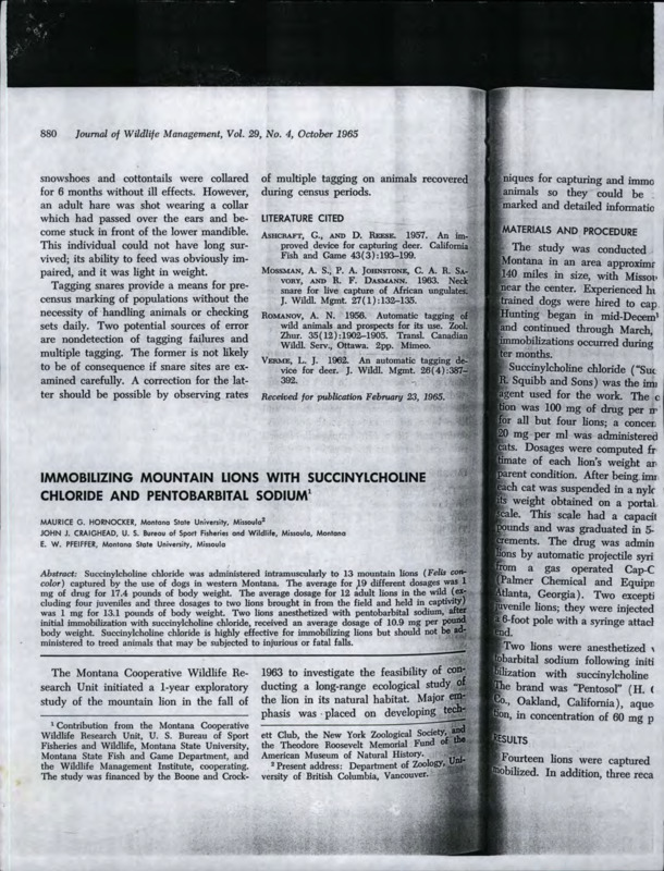 A photocopy of "Immobilizing Mountain Lions with Succinylcholine Chloride and Pentobarbital Sodium" by Maurice G. Hornocker, John J. Craighead, and E.W. Pfeiffer, published in the Journal of Wildlife Management.