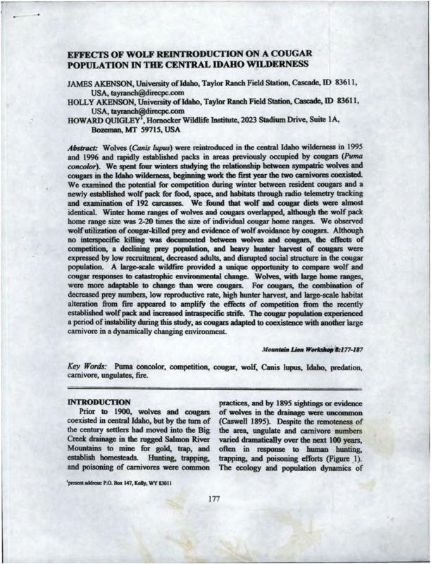 A copy of "Effects of Wolf Reintroduction on a Cougar Population in the Central Idaho Wilderness" by James Akenson, Holly Akenson, and Howard Quigley from the Proceedings of the Eighth Mountain Lion Workshop.