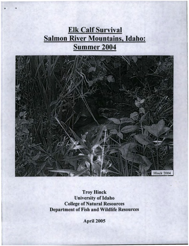 A copy of "Elk Calf Survival Salmon River Mountains, Idaho: Summer 2004" by Troy Hinck.