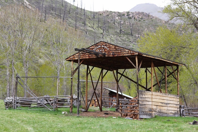 Built in the August of 1985 by Jim Akenson and crew. A lot more went into the building of this hay barn than what meets the eye. Corner and wall posts were floated down Big Creek and then lifted out of the water by a pulley system. A mule team and stoneboat sled were used to move them to the building site. The site was on an old junkyard which had to be cleaned up along with removing the 400 pound boulders in the area. The rest of the building materials were flown in via three trips from Moscow.