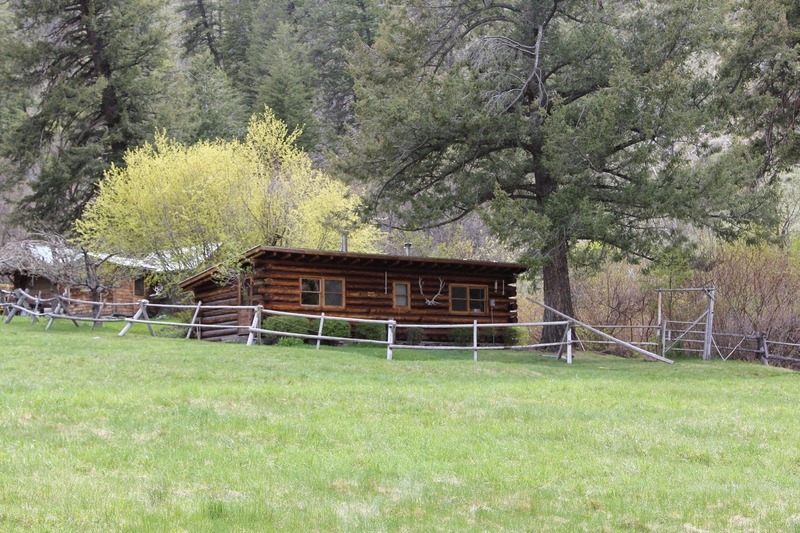 The Hornocker Cabin was constructed in 1952 by Jess and Dorothy Taylor. It was later named after Maurice Hornocker who conducted research on Mountain Lions. The duplex is now used as an office space on one side, and a living space on the other.