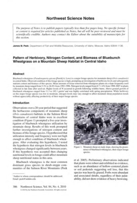 Bluebunch wheatgrass (Pseudoroegneria spicata [Pursh] A. Love) is a major forage species for mountain sheep (Ovis canadensis) in central Idaho. Observed condition of this forage species is high, prompting an investigation of herbivory levels and subsequently nutrient content and biomass of this species. Mean amounts of tissue removed from wheatgrass plants on a slope frequently used by mountain sheep ranged from 5.3% to 26.8% from 1992-1996. Nitrogen levels ranged from 0.7-1.4% from 1998-2007 in plants collected in late June after seed-set. Higher levels of N occurred in growth following wildfire burns. Above-ground growth of bluebunch wheatgrass ranged from 11 .3 to !02.1 gm/m2 and was highly correlated with spring precipitation. While herbivory on this major forage species was low to moderate, nitrogen levels may vary enough to affect mountain sheep population trends without appreciably affecting productivity of their major forage species.