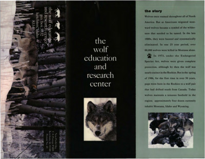 Discussing The Wolf Education and Research Center
