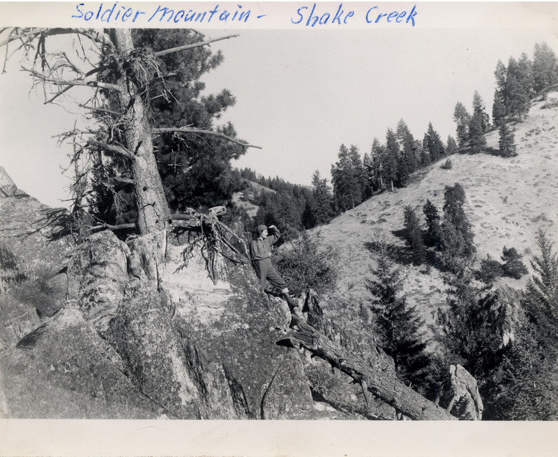 A person wearing hiking gear stands next to a snag and looks out over the mountain. Written on the photo is, "Soldier Mountain - Shake Creek." The number 213 is stamped on the back of the photograph.