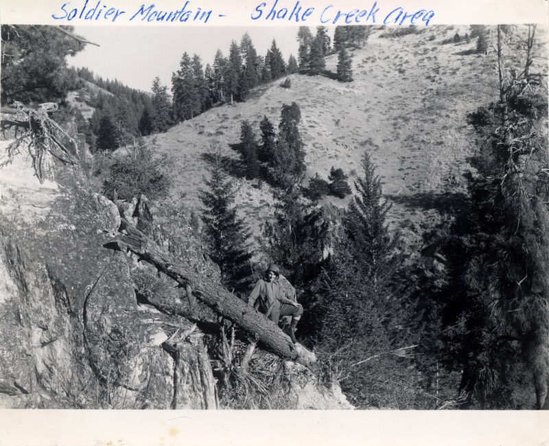 A person wearing hiking gear stands on a fallen tree and smiles at the camera. The photo is labeled, "Soldier Mountain - Shake Creek Area." The number 213 is stamped on the back of the photograph.