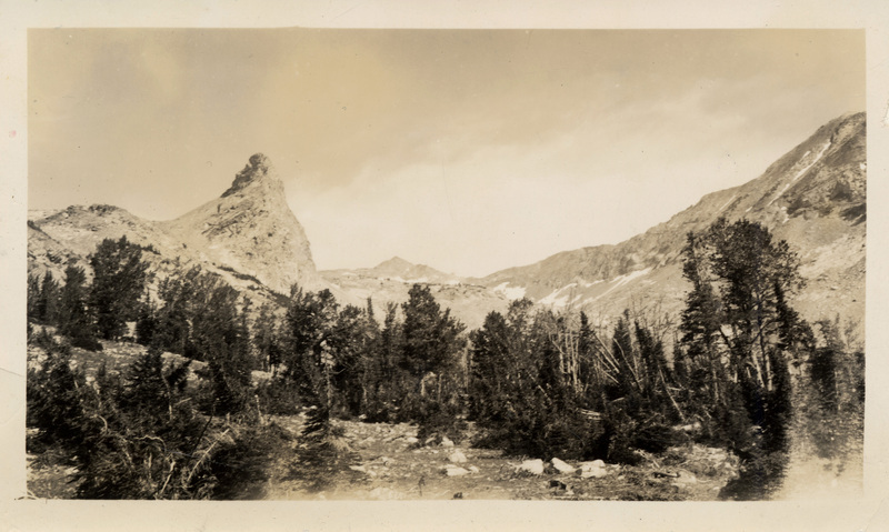 A photograph of a mountain range with pine trees in front of it.