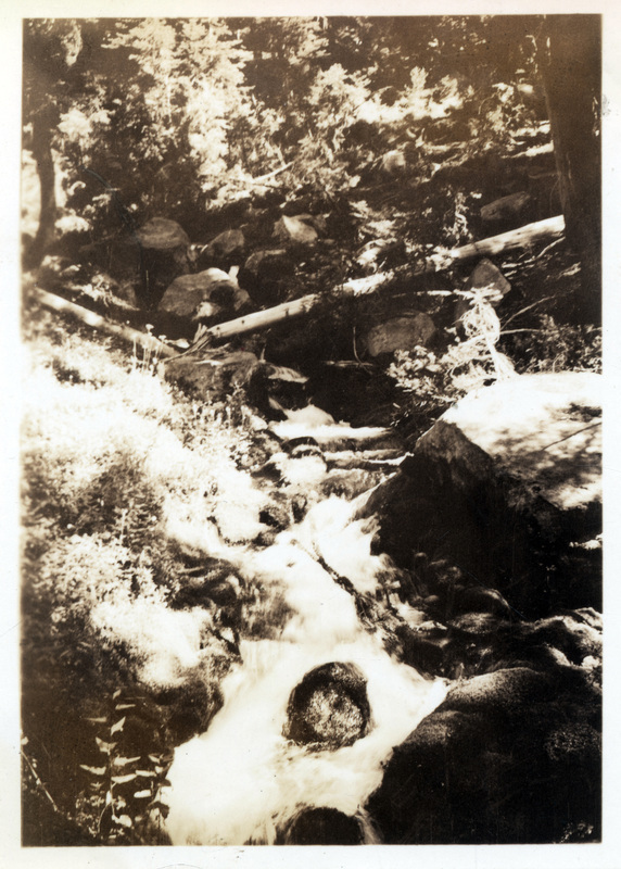 A stream in a forest area runs over rocks and under fallen trees. The number 46 is stamped on the back of the photograph.