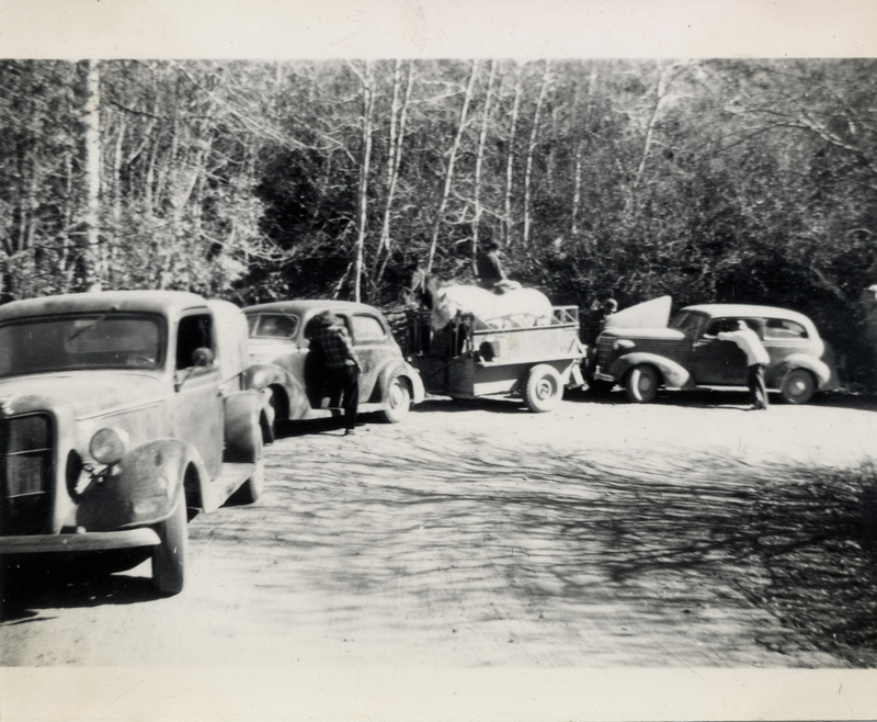 Three automobiles are on a road. One tows a trailer with two horses standing in it. Several people stand around the cars and one rides in the trailer. A stamp on the back reads 'A3[illegible character].'