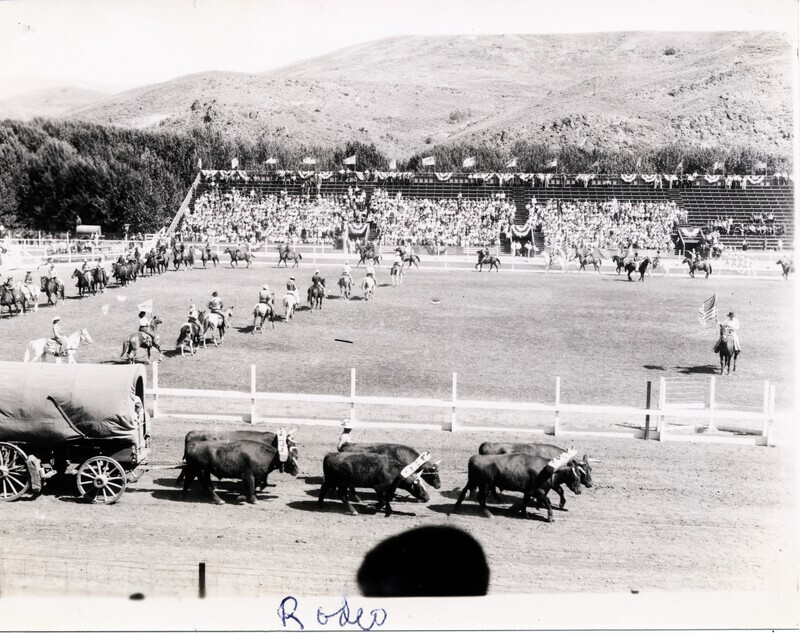 A team of oxen pull a covered wagon in front of the rodeo arena. The picture is captioned "Rodeo."