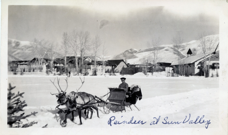 Reindeer at Sun Valley