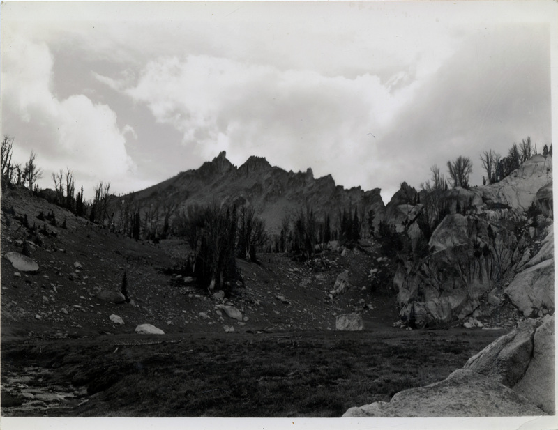 Meadow below Notched Peak, Stanley Lake