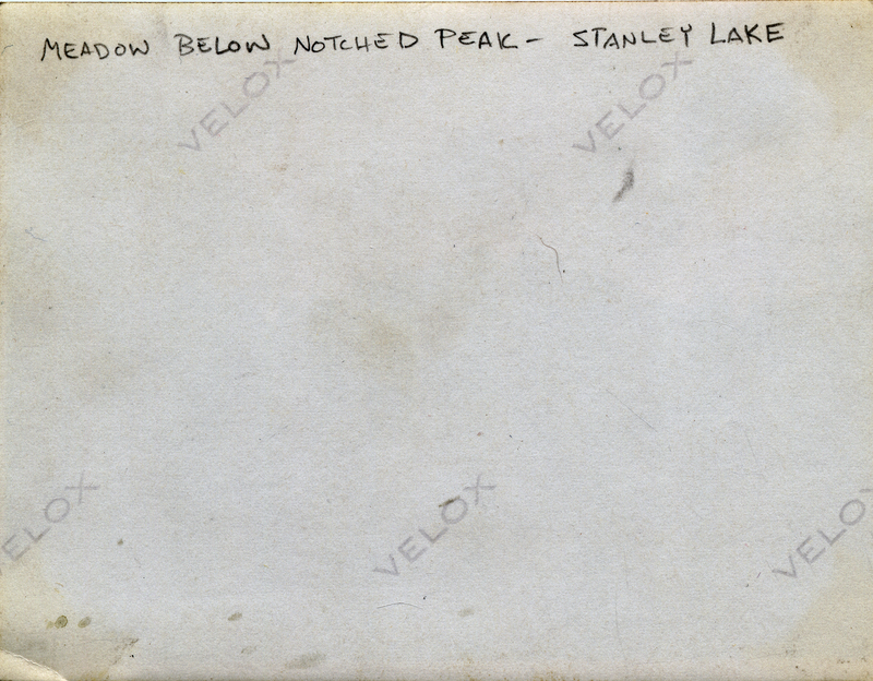 Meadow below Notched Peak, Stanley Lake