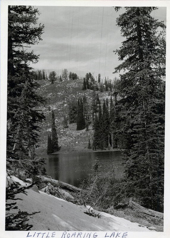 A view of a mountain lake from between pine trees. "Little Roaring Lake" is written on the front of the photograph.