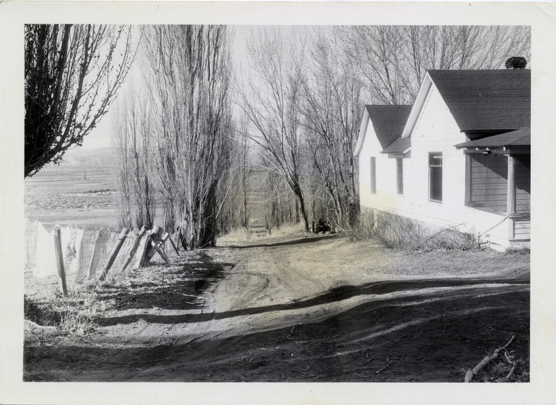 A dirt road between a single story house and a fenced area. Clothing articles are hanging on the fence. The back of the photograph is stamped with the number 716.