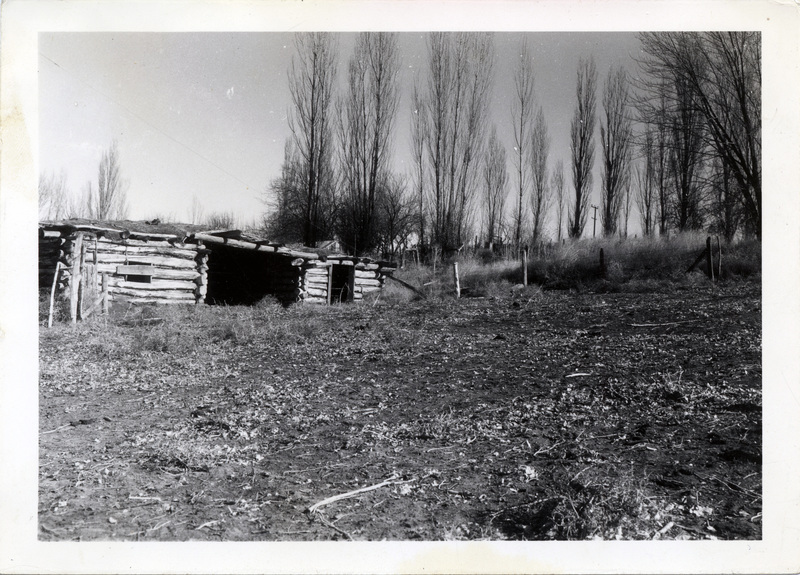 A wooden shed next to a fence made with wire and wooden fence posts. The back of the photograph is stamped with the number 716.
